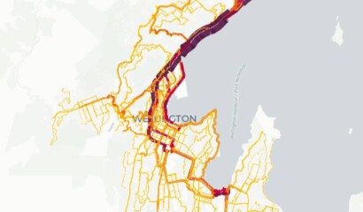 Map of Wellington City showing the roads in the central city
